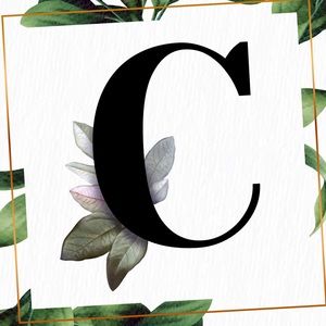 Meet your Posher, Carrie